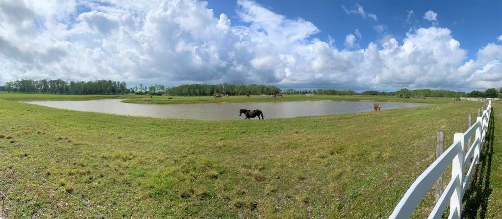 3578 Southwest Trailside Path Stuart, FL 34997 - Photo 2 of 11 IMG-20191107-WA0010 (2)