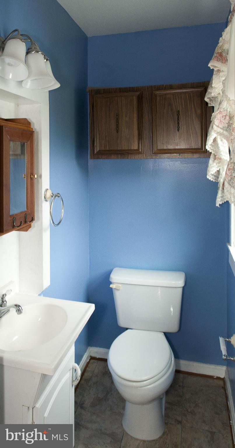 24219 Cedar Ridge Road Rapidan, VA 22733 - Photo 26 of 29 Bath (Master)
