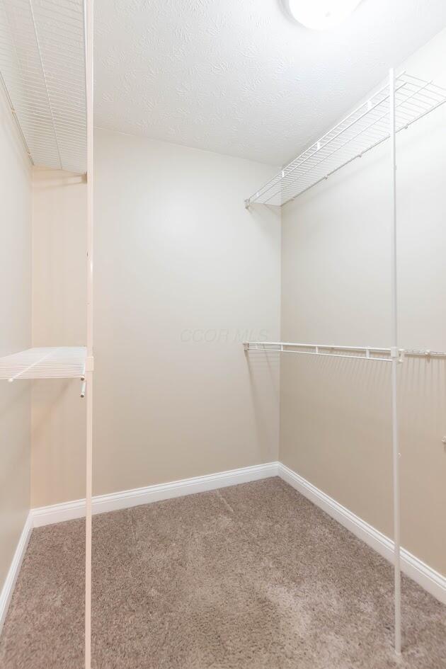 7909 Ct Ridge Fairborn, OH 45324 - Photo 21 of 25 DSC_6486
