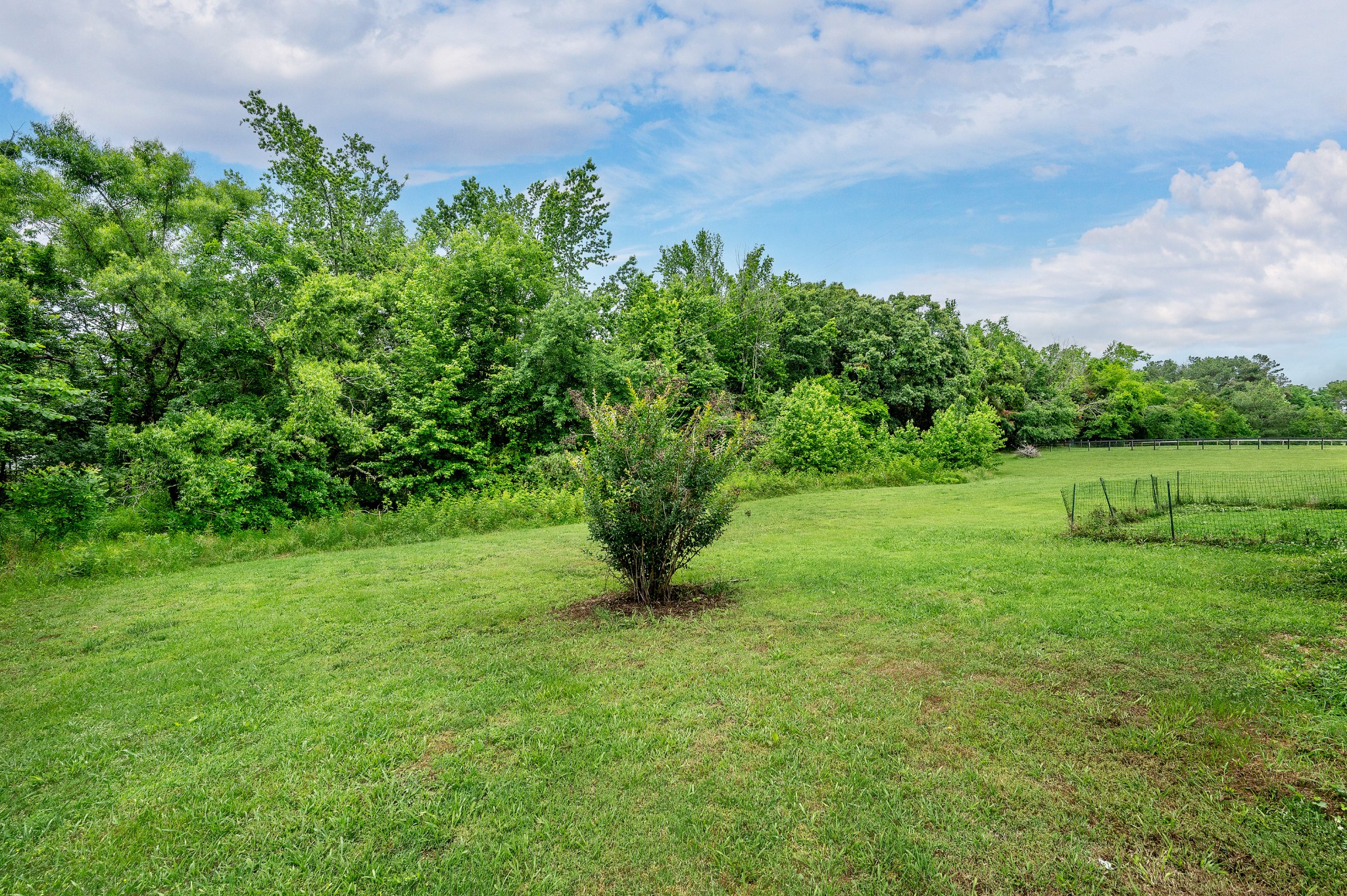 2995 Oak Grove Church Road Bethpage, TN 37022 - Photo 25 of 28 a view of a garden