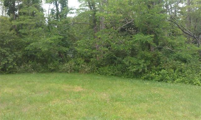 56 Hay Road, Unit 56 Eastham, MA 02642 - Photo 6 of 21 a view of a yard with a trees