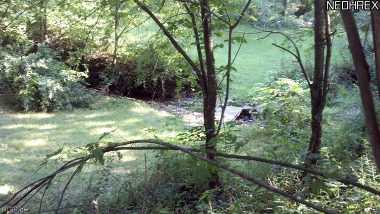 2258 Reimer Road Wadsworth, OH 44281 - Photo 6 of 15 back Wooded