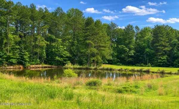 $85,800 | Niki Lane, Pelahatchie, MS 39145