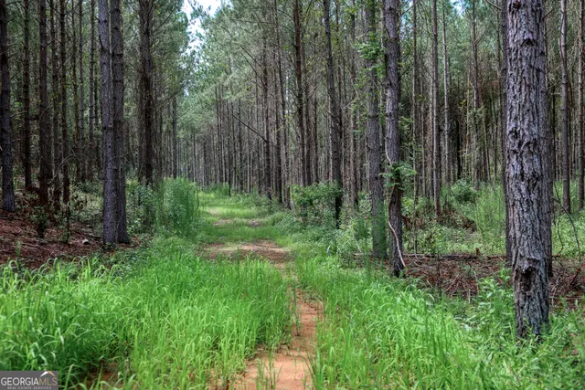 a view of backyard with green space