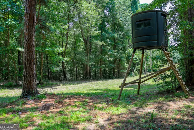 a view of a back yard