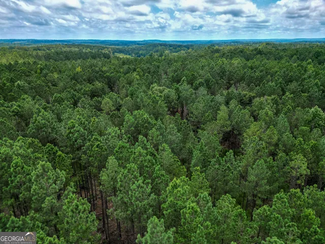 a view of a field of grass and trees
