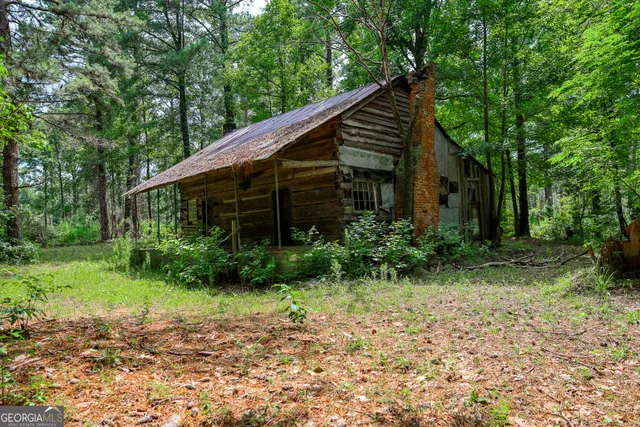 a view of backyard with potted plants and large tree