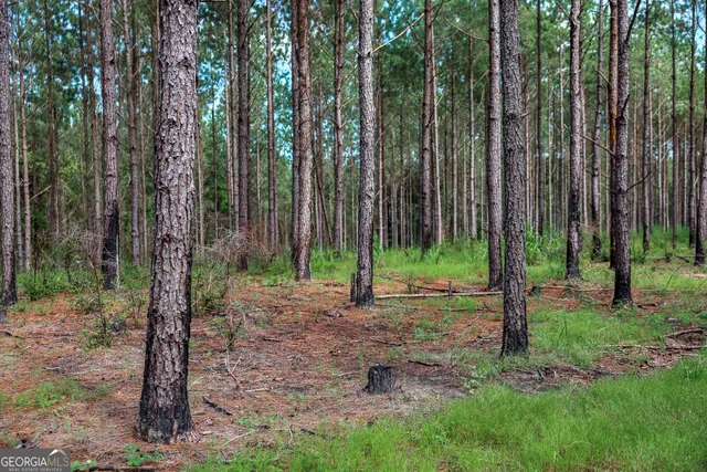 a view of outdoor space with green space