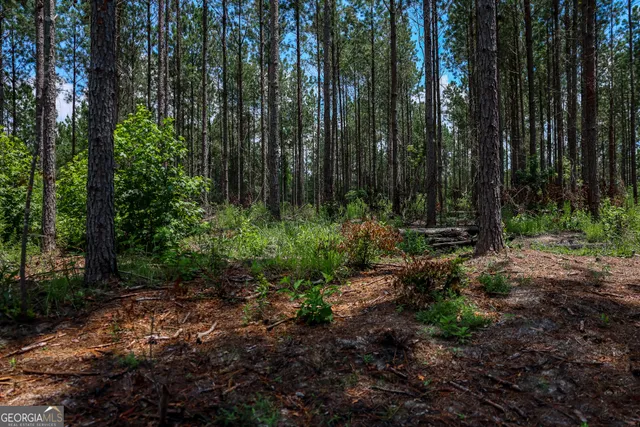 a view of outdoor space and green space