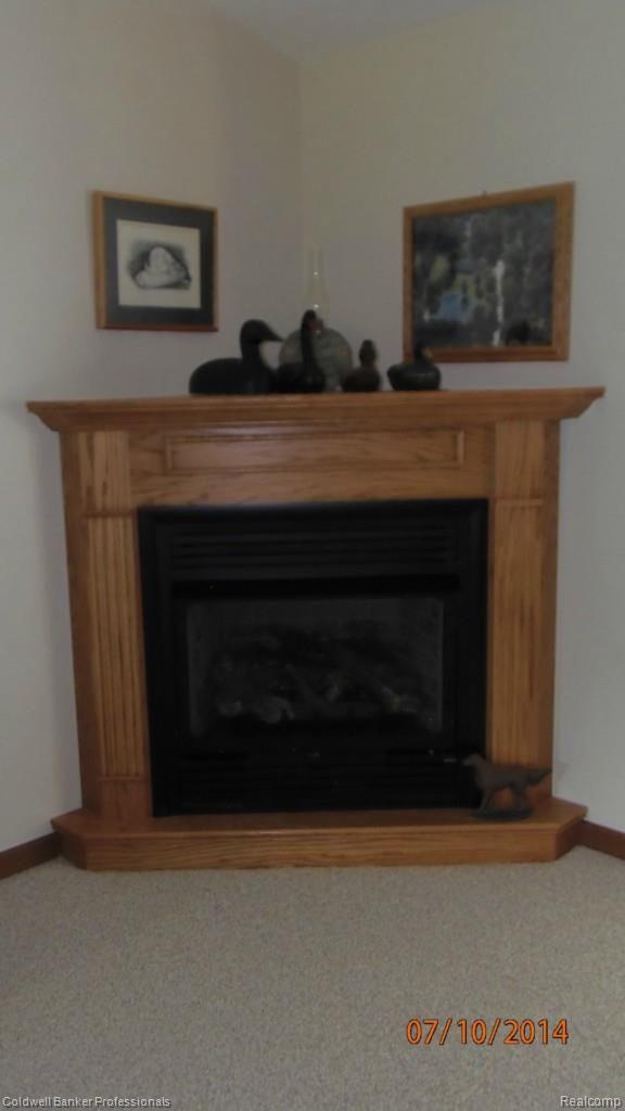 4400 Casey Road Dryden, MI 48428 - Photo 17 of 28 4400 Caseu fireplace.jpg