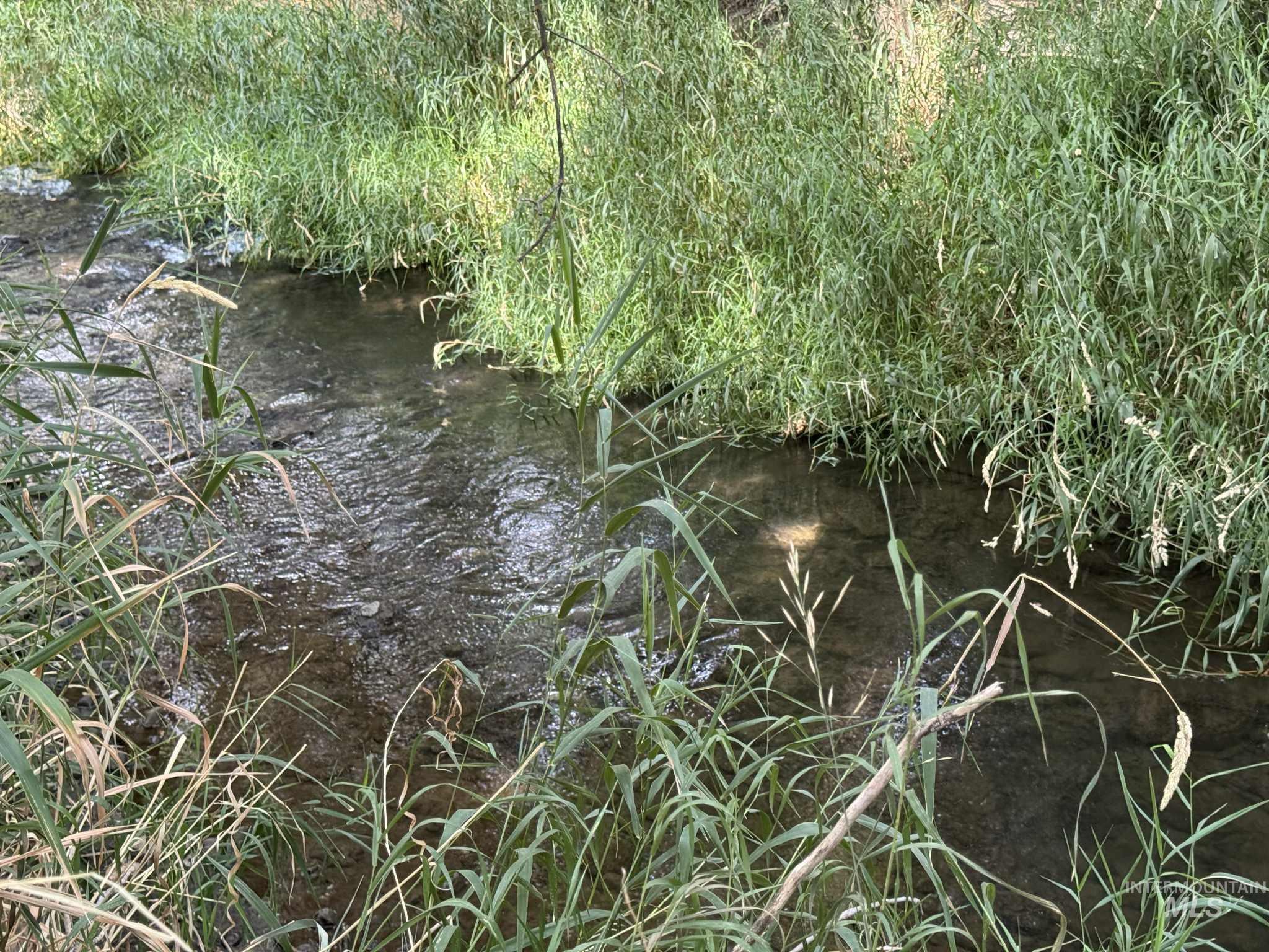 319 Pataha Street Pomeroy, WA 99347 - Photo 21 of 43 Creek