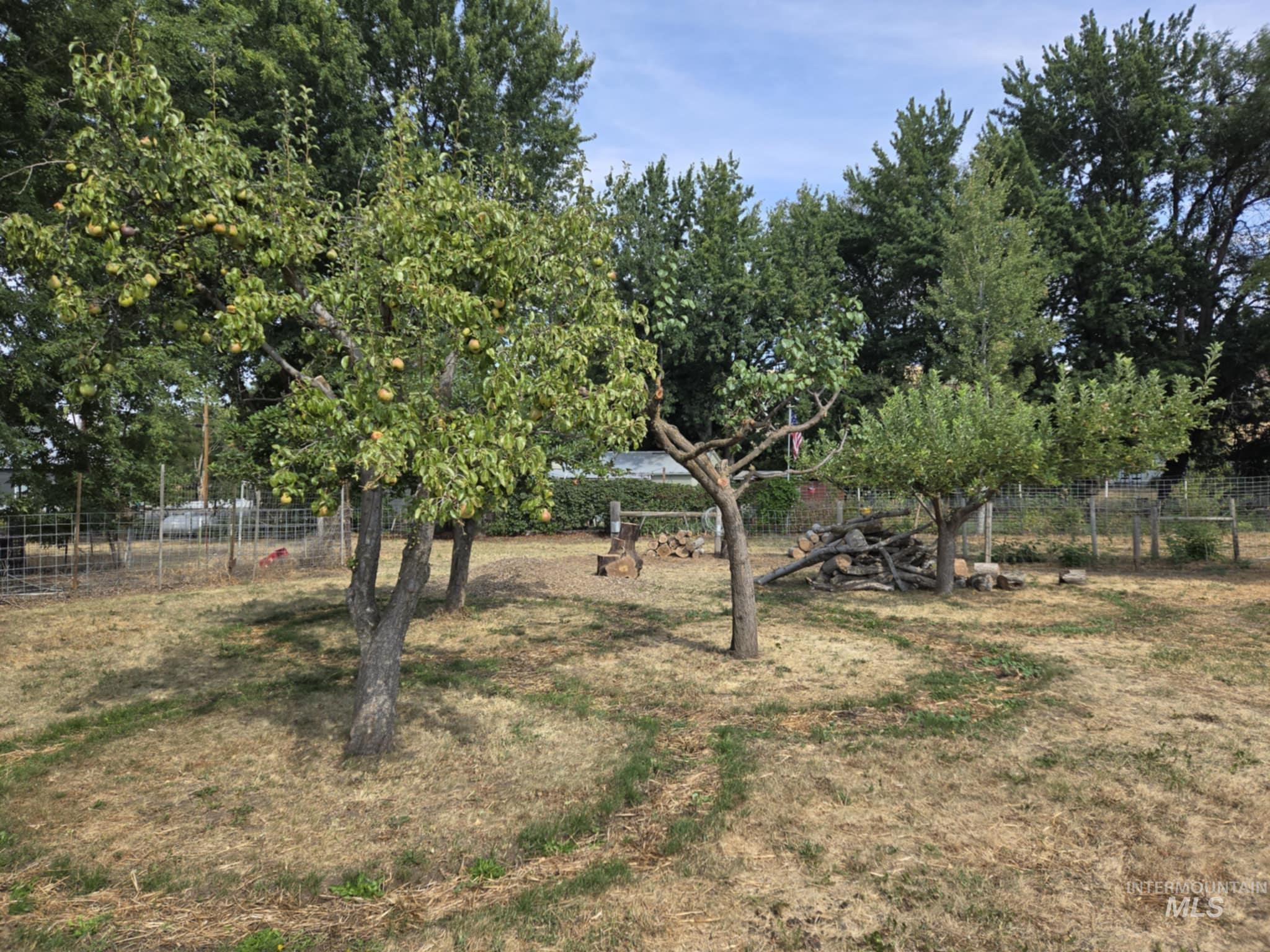 319 Pataha Street Pomeroy, WA 99347 - Photo 34 of 43