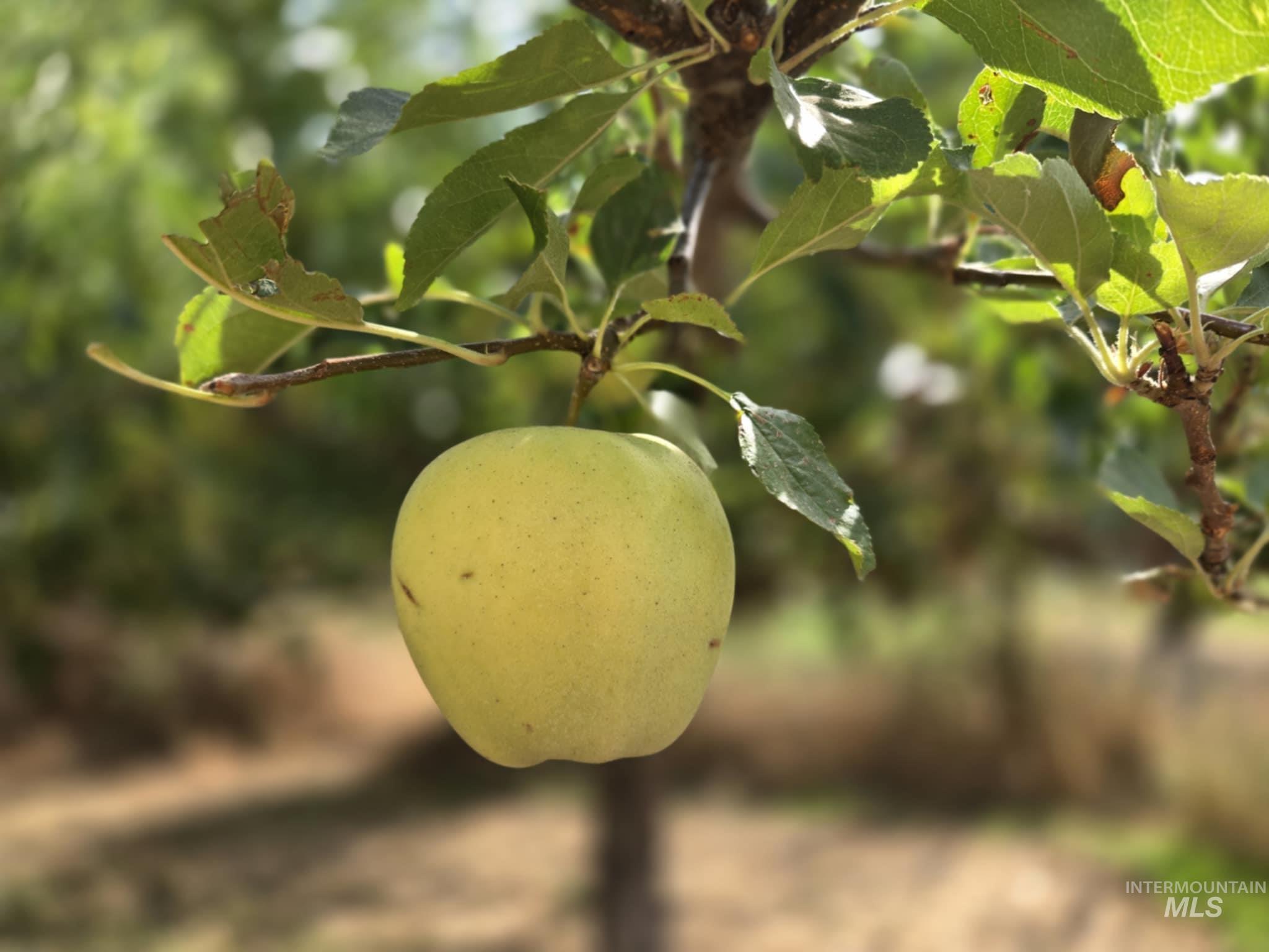 319 Pataha Street Pomeroy, WA 99347 - Photo 35 of 43