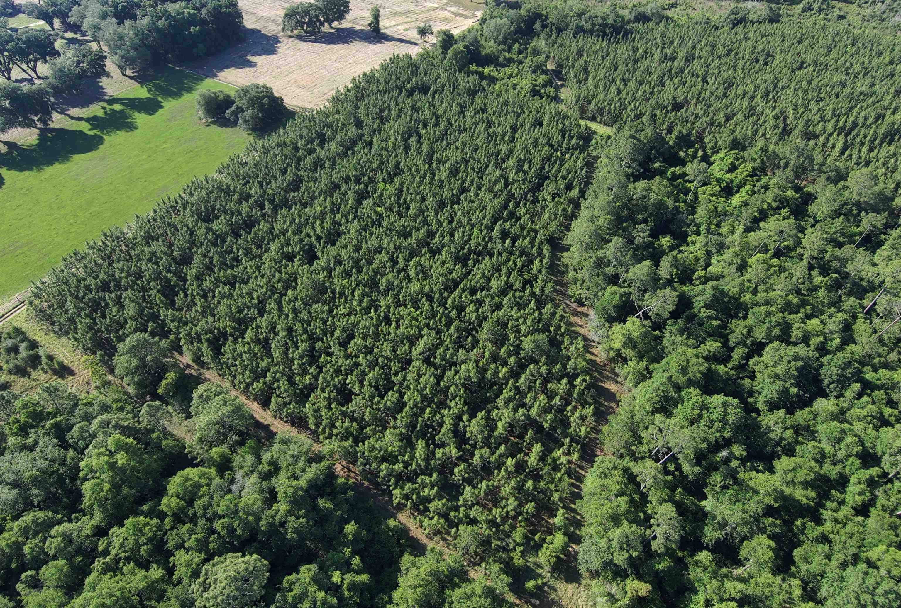 87 County Road 87 Elberta, AL 36530 - Photo 47 of 66
