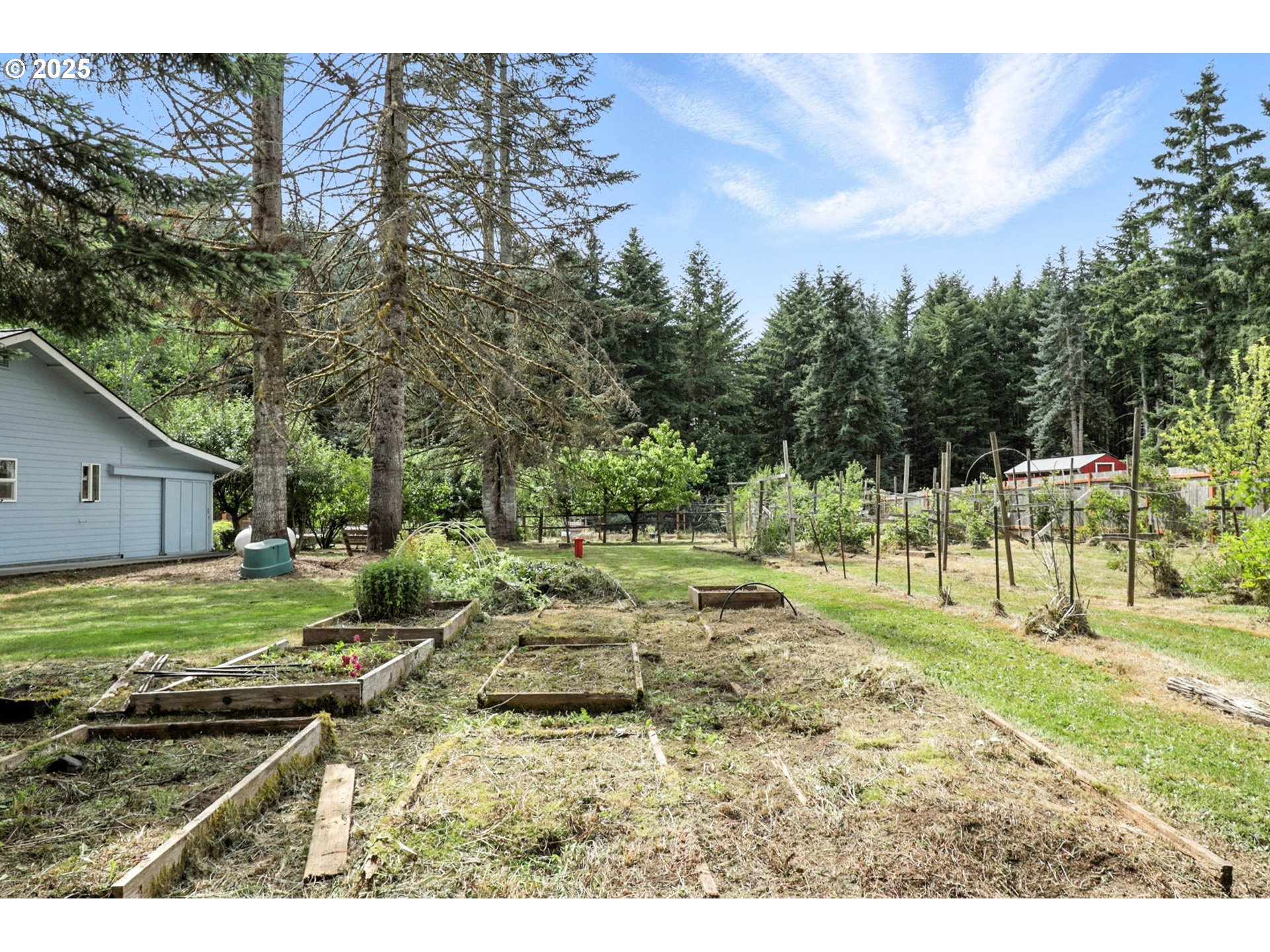 116 Noble Road Winlock, WA 98596 - Photo 34 of 48 a view of a backyard with trees