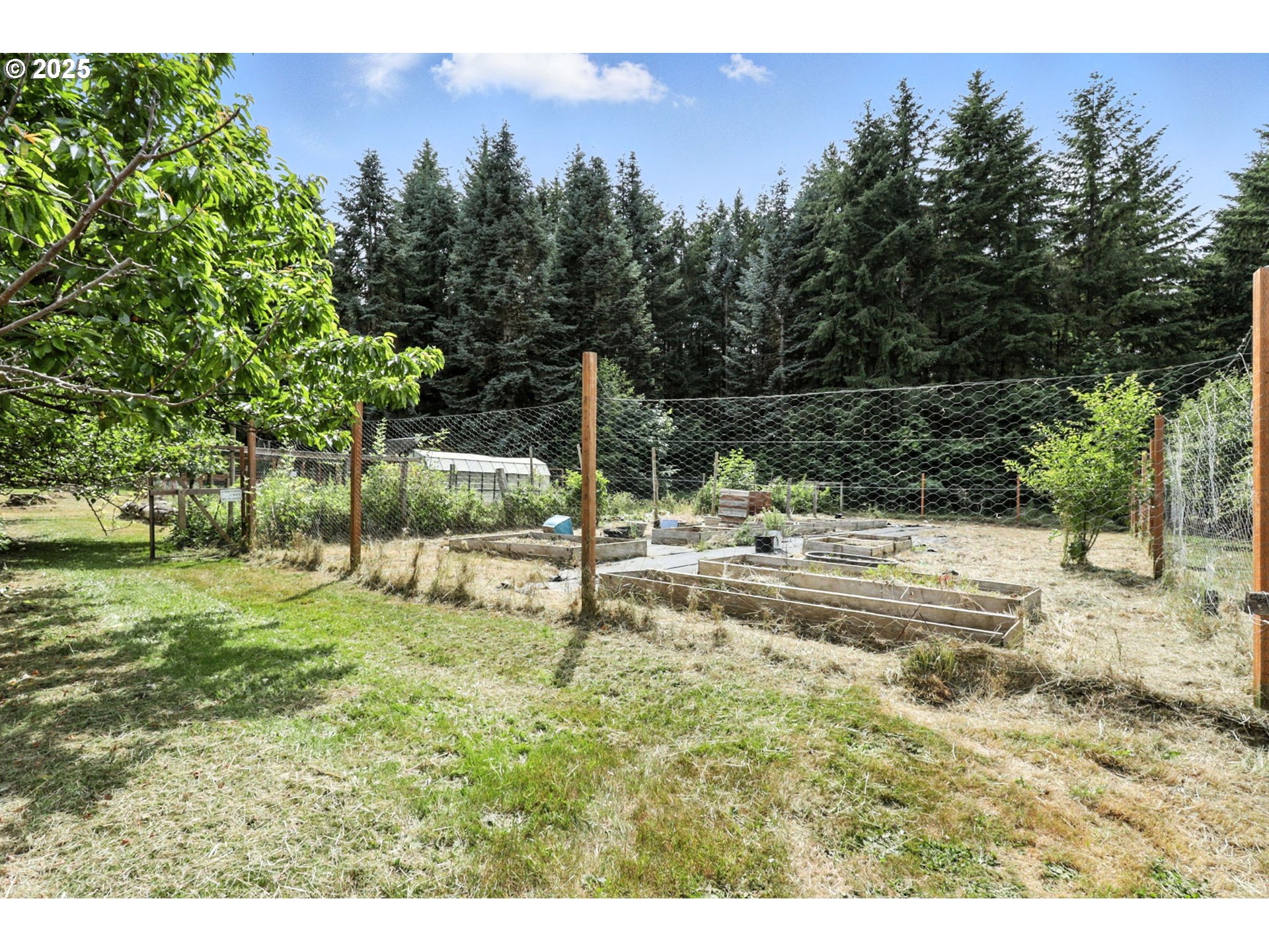 116 Noble Road Winlock, WA 98596 - Photo 35 of 48 a view of a backyard