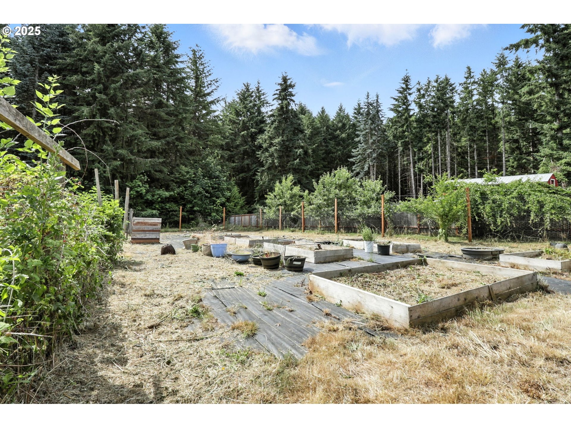 116 Noble Road Winlock, WA 98596 - Photo 36 of 48 a view of a dry yard with trees