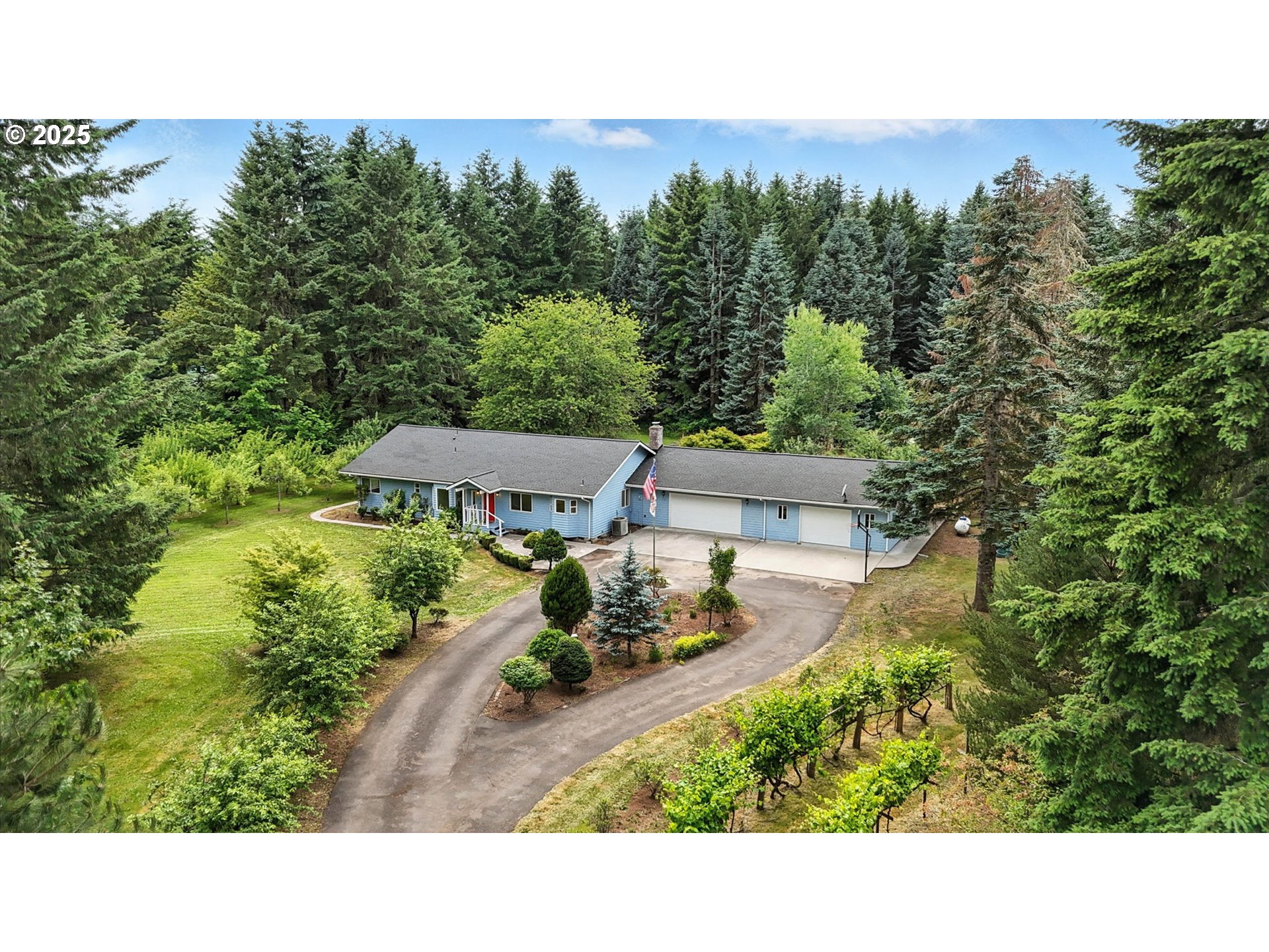 116 Noble Road Winlock, WA 98596 - Photo 44 of 48 a picture of a house with a yard