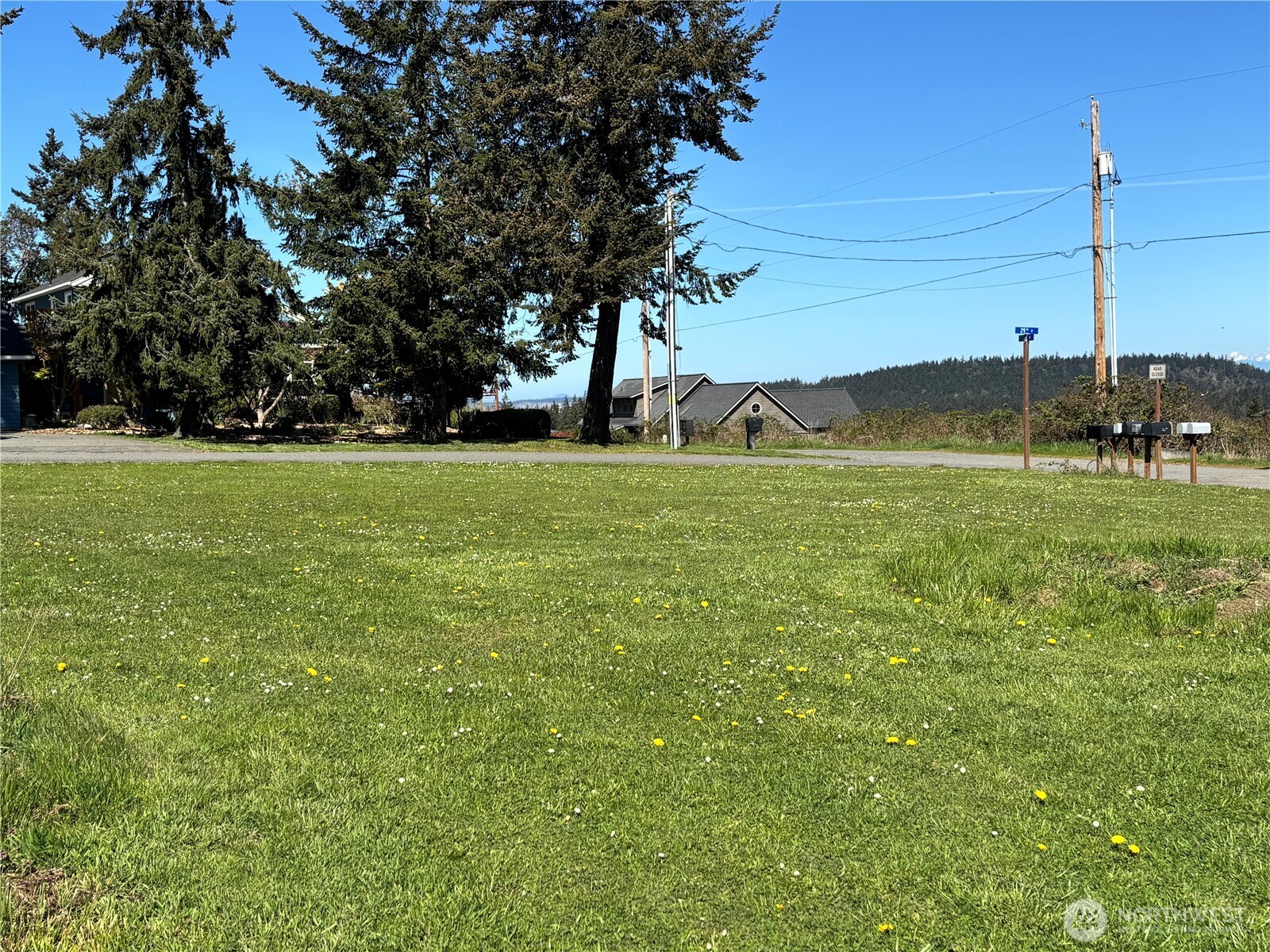 0 29th Street Port Townsend, WA 98368 - Photo 2 of 7 a view of a field with a tree