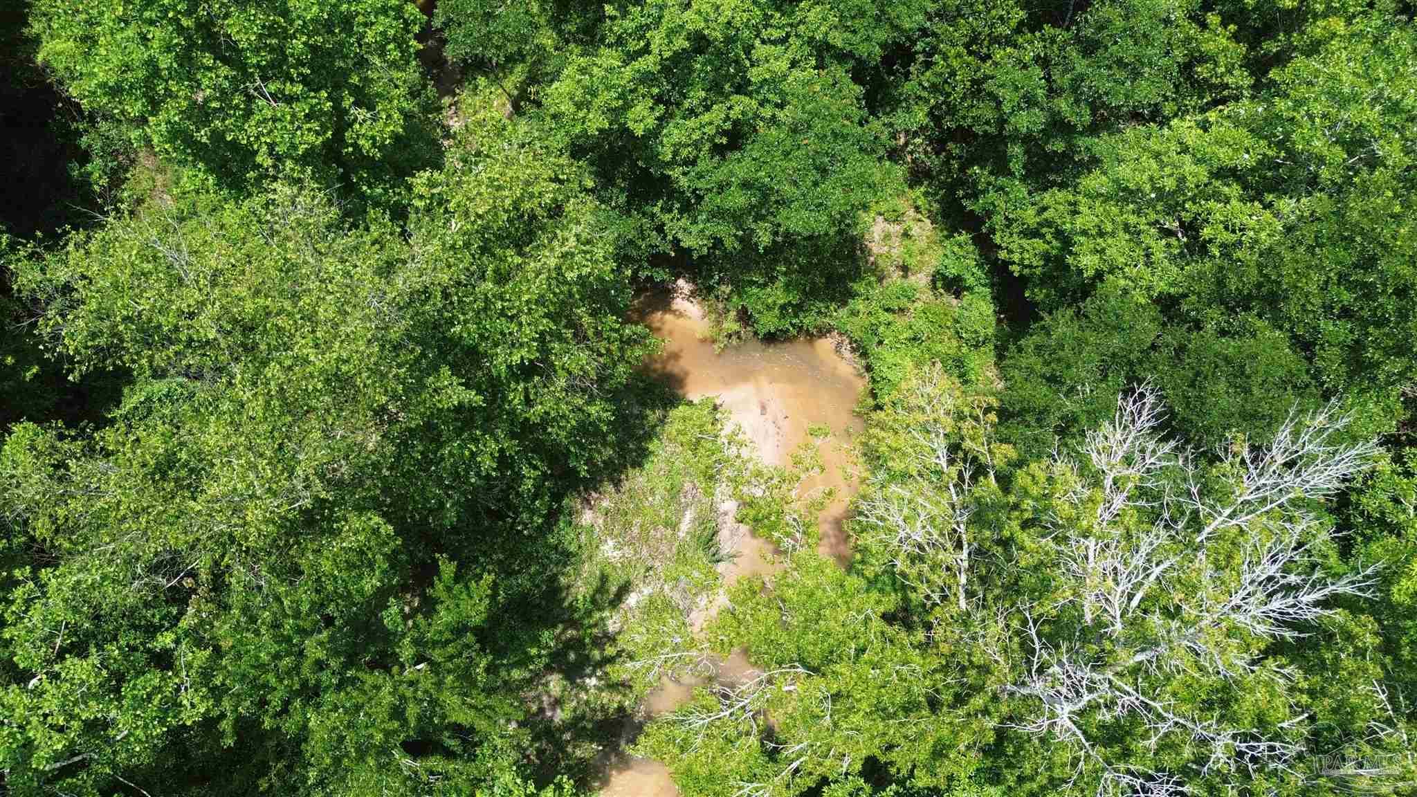 Lot 2 Mineral Springs Road Jay, FL 32565 - Photo 8 of 15