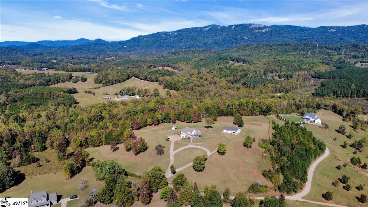 158 Glassy Road Landrum, SC 29356 - Photo 5 of 50