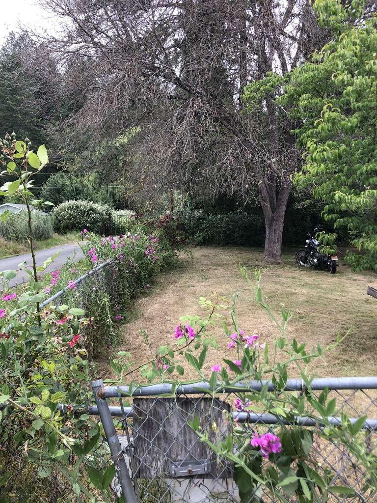 161 West Evans Creek Road Rogue River, OR 97537 - Photo 21 of 28 Era.22