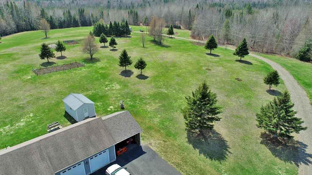 217 Campbell Road New Limerick, ME 04761 - Photo 67 of 92 gardens-home-with-me-land