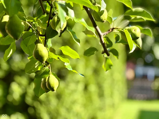 $399,999 | 422 East 49th Street, Indianapolis, IN 46205