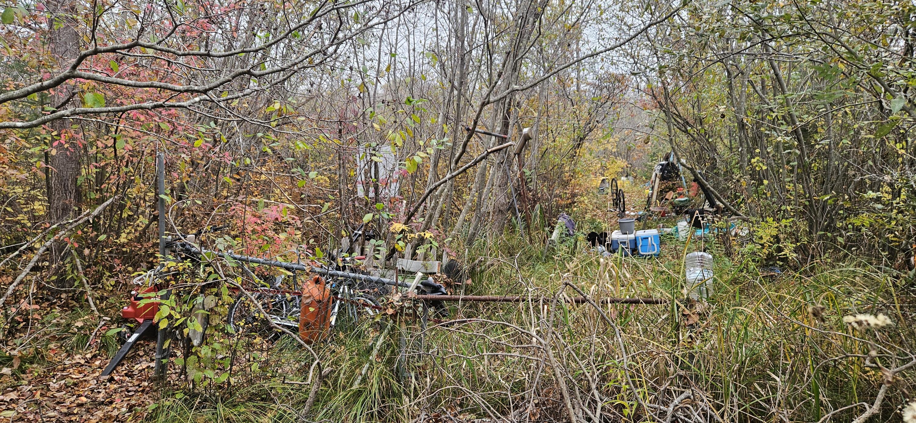 4 Surfore Drive York, ME 03909 - Photo 1 of 6 20251030_150605
