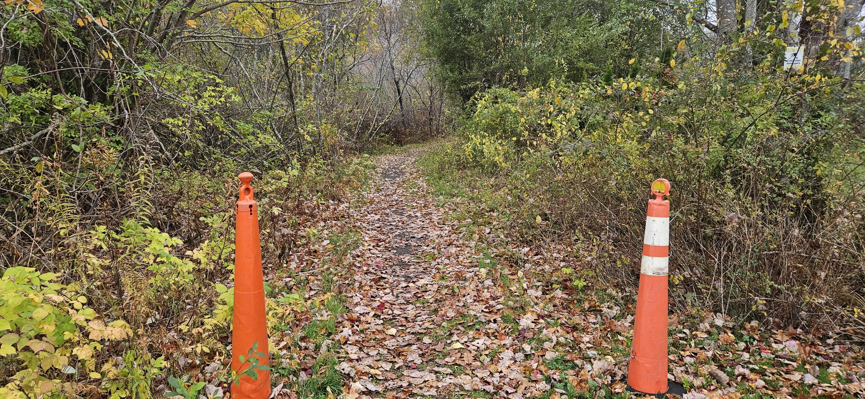 4 Surfore Drive York, ME 03909 - Photo 2 of 6 20251030_150801