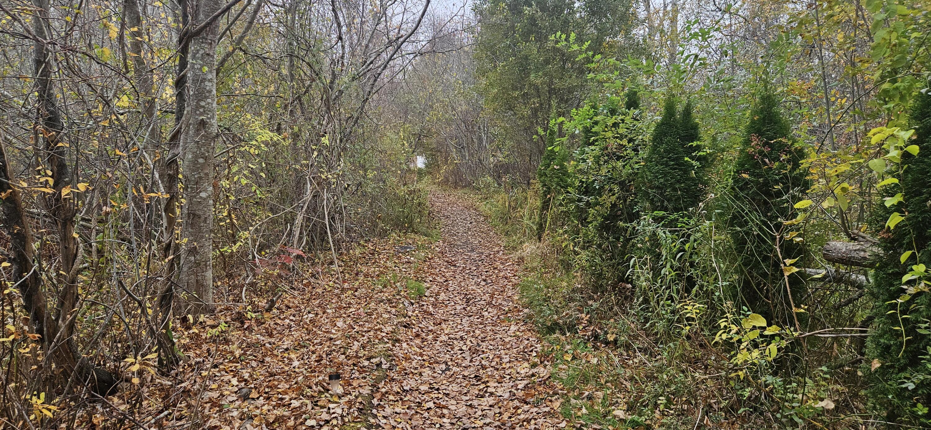 4 Surfore Drive York, ME 03909 - Photo 3 of 6 20251030_150539