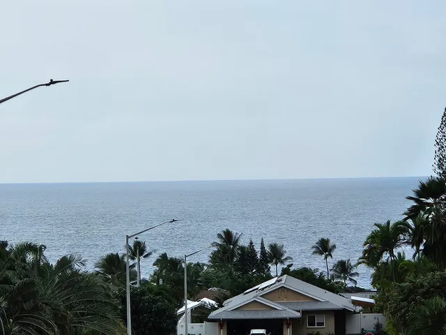 an aerial view of a house with a lake view