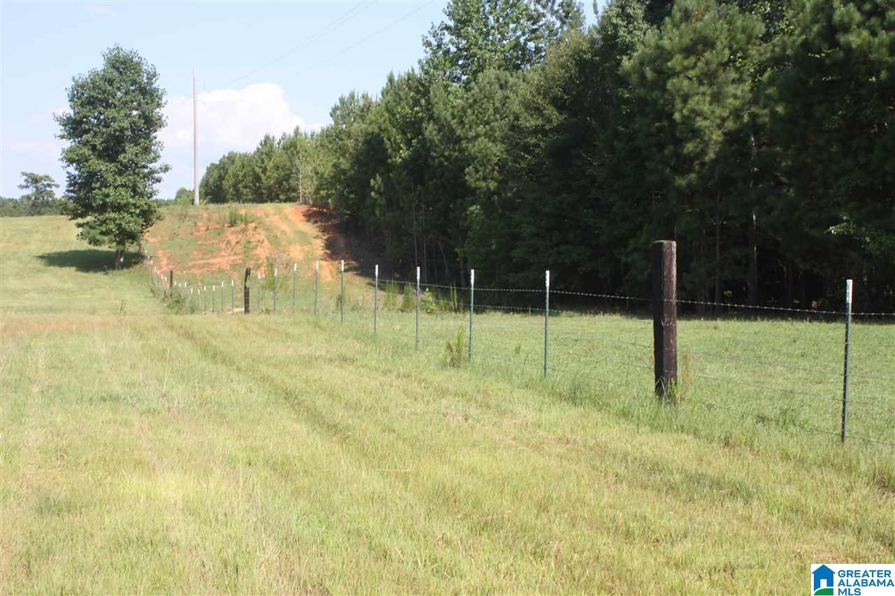 0 Louina Road Roanoke, AL 36274 - Photo 2 of 33