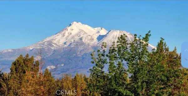 a view of a small yard