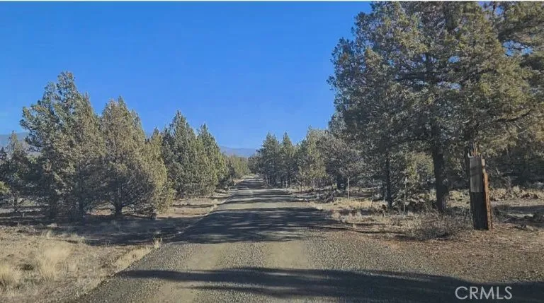 0 Big Springs Road Montague, CA 96064 - Photo 2 of 11 a view of a yard with trees