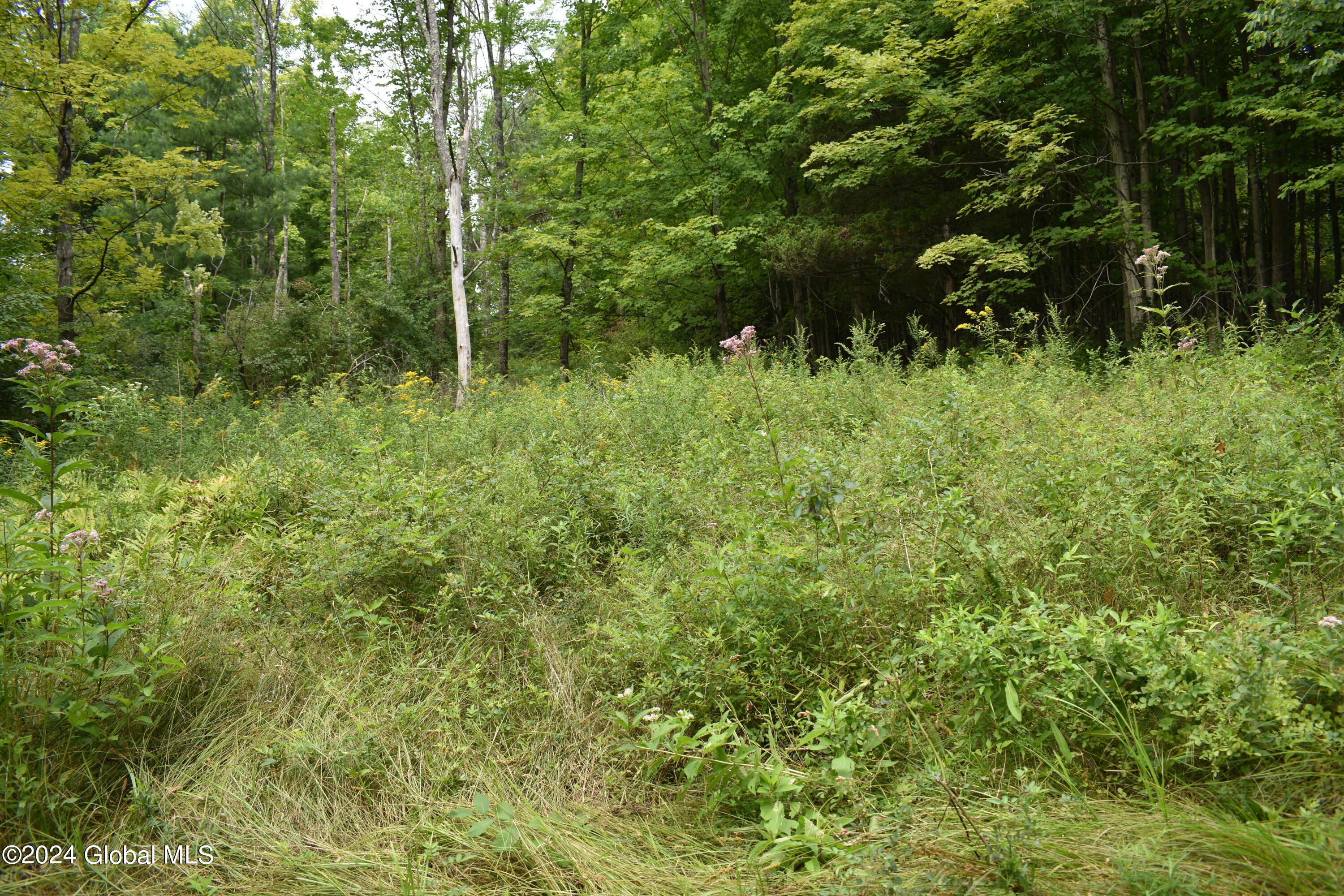 L3.4 Hall Road Johnsonville, NY 12094 - Photo 1 of 20 DSC_3459