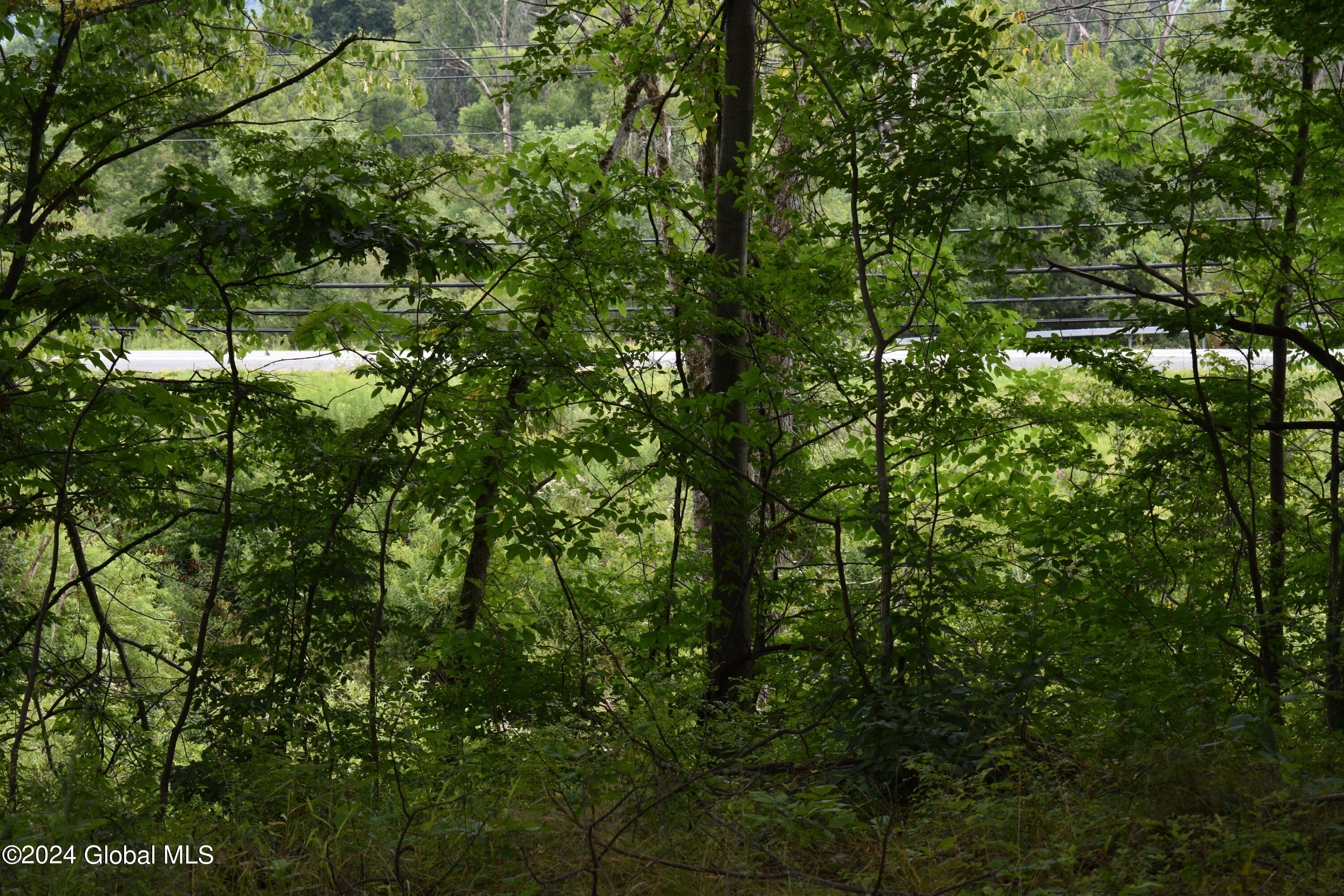 L3.4 Hall Road Johnsonville, NY 12094 - Photo 8 of 20 DSC_3458