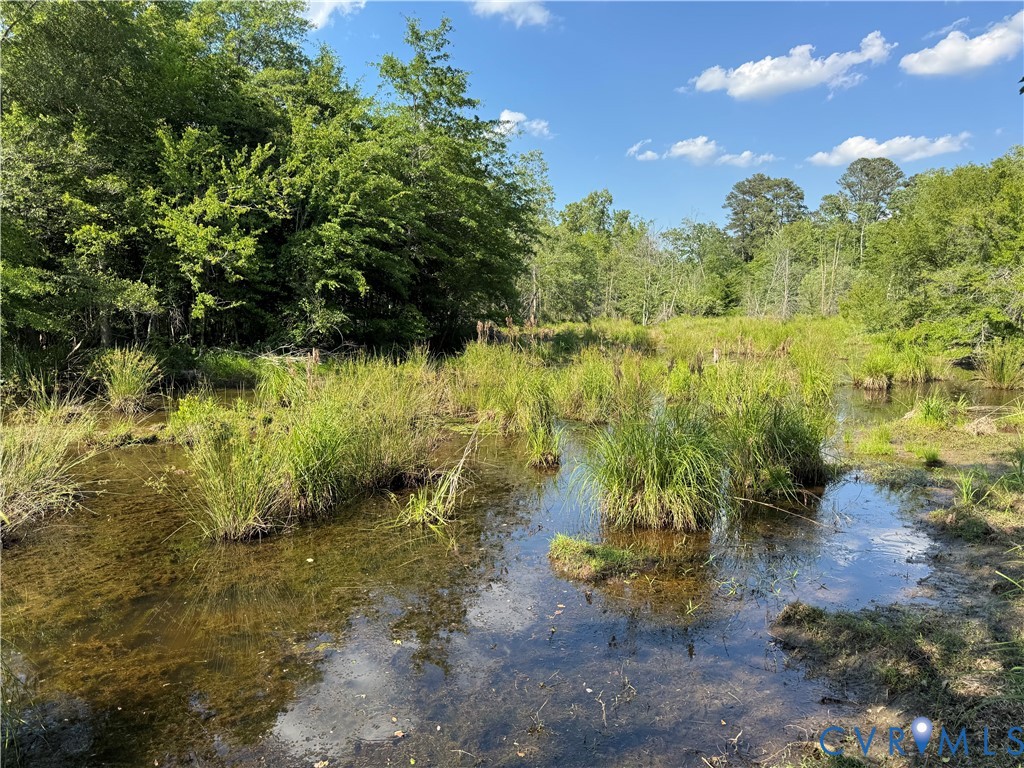 18600 Lebanon Road Spring Grove, VA 23881 - Photo 14 of 16