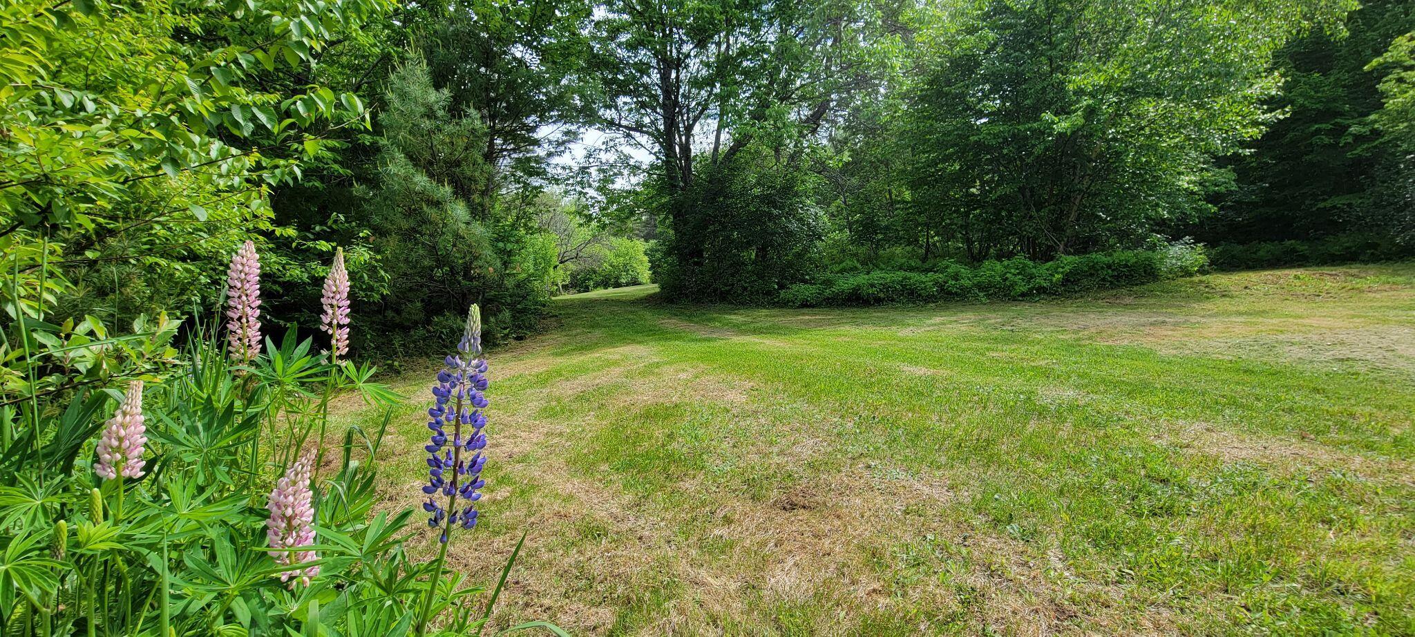 1820 Rangeley Road Phillips, ME 04966 - Photo 12 of 29 288040336_3227067210849769_7256219096918