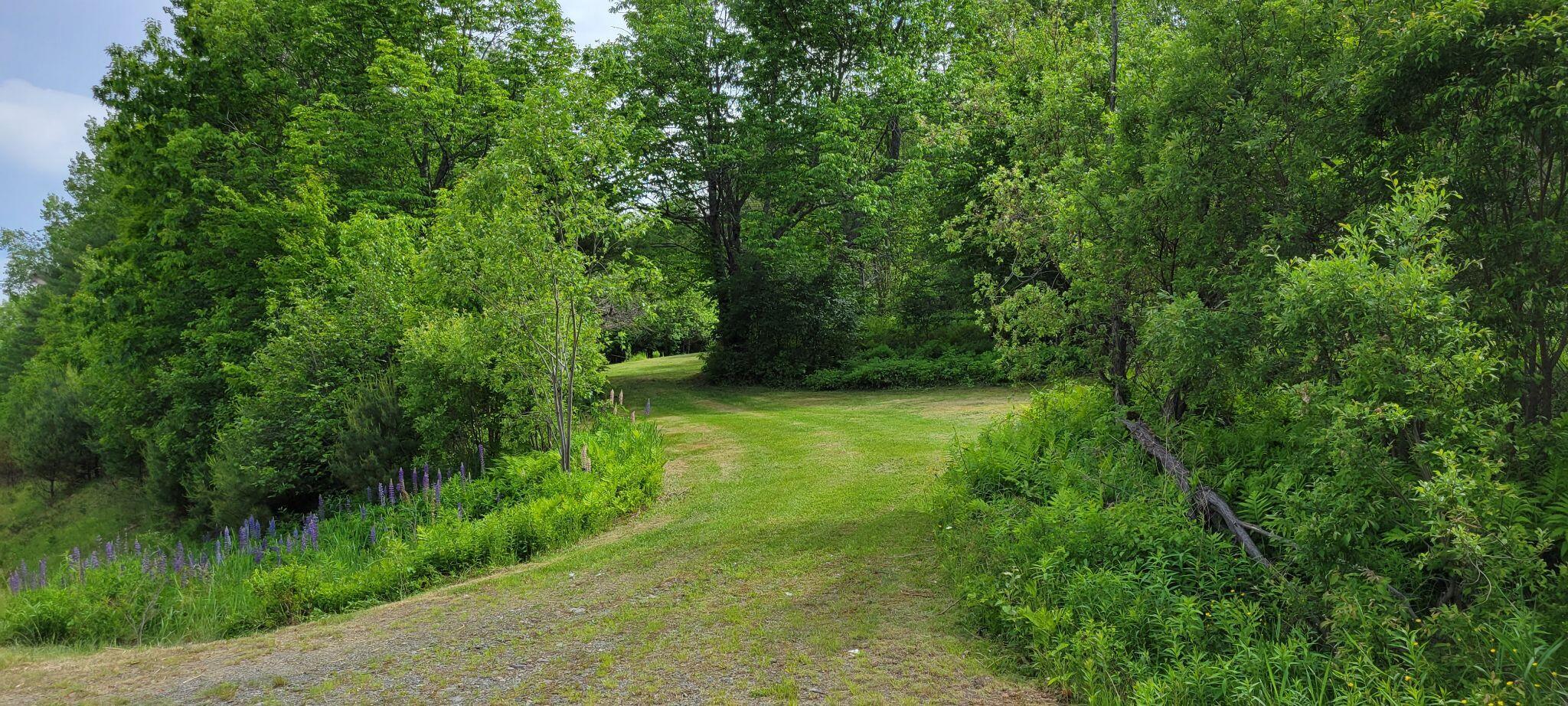 1820 Rangeley Road Phillips, ME 04966 - Photo 13 of 29 287200588_583390963128982_77808235843154