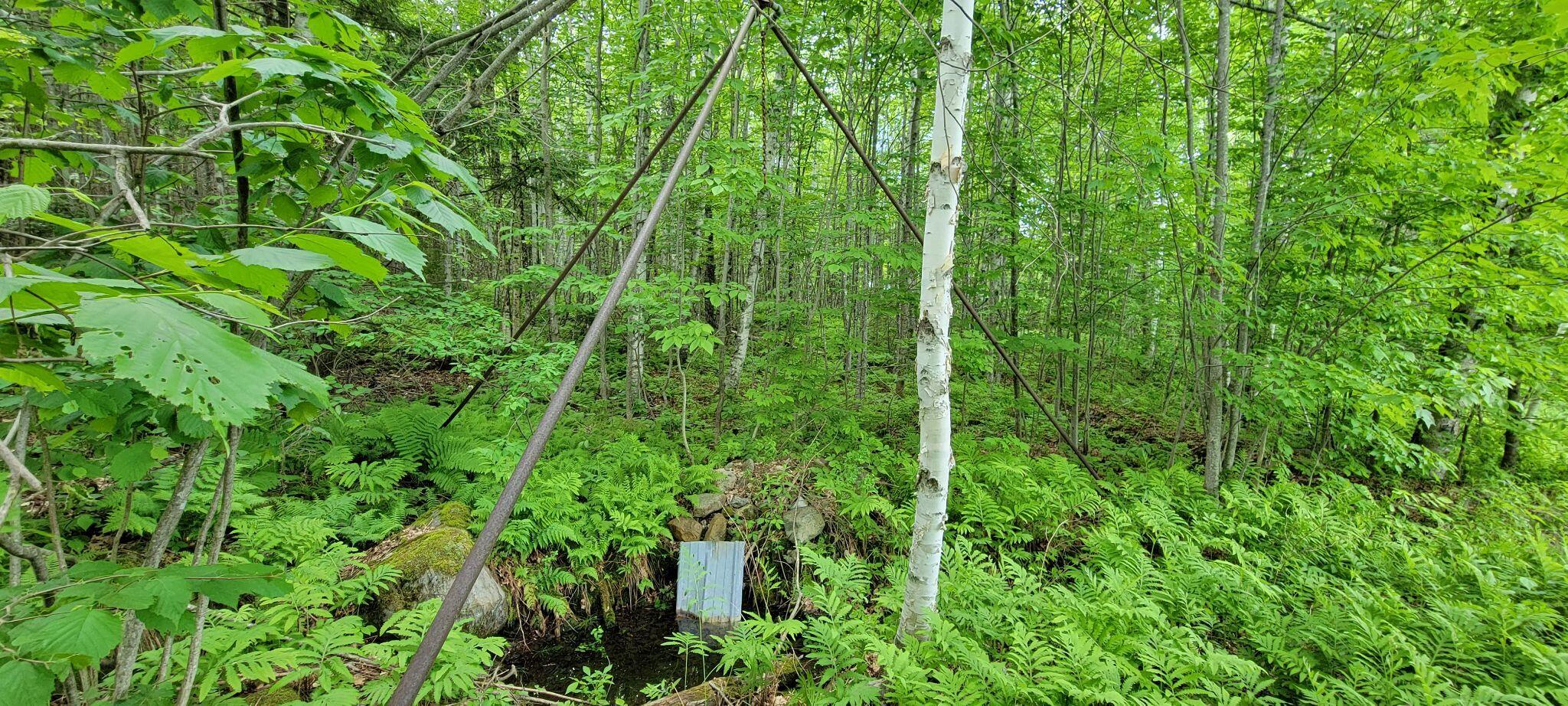 1820 Rangeley Road Phillips, ME 04966 - Photo 15 of 29 287426597_754523055674560_30506196111054