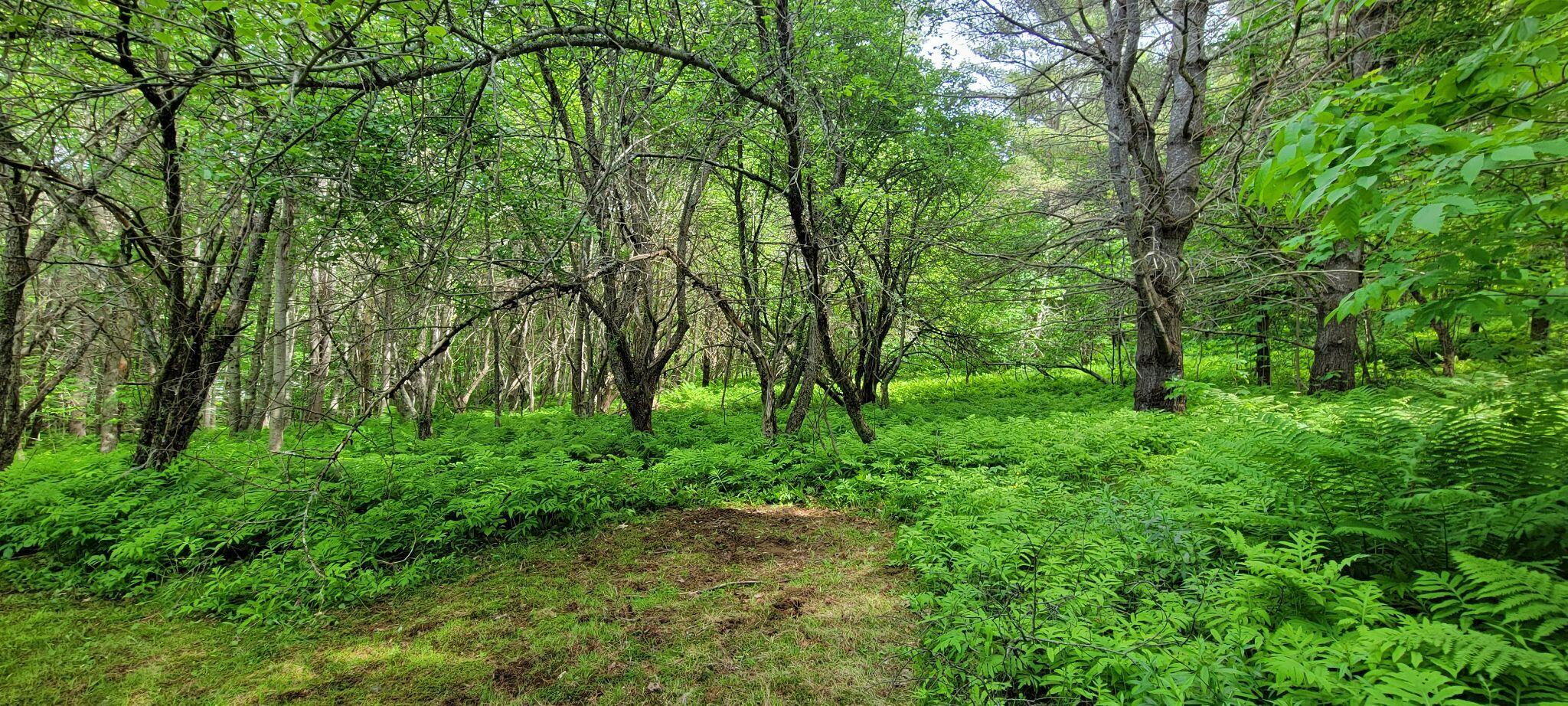 1820 Rangeley Road Phillips, ME 04966 - Photo 17 of 29 288183450_759073361773594_53398847505522