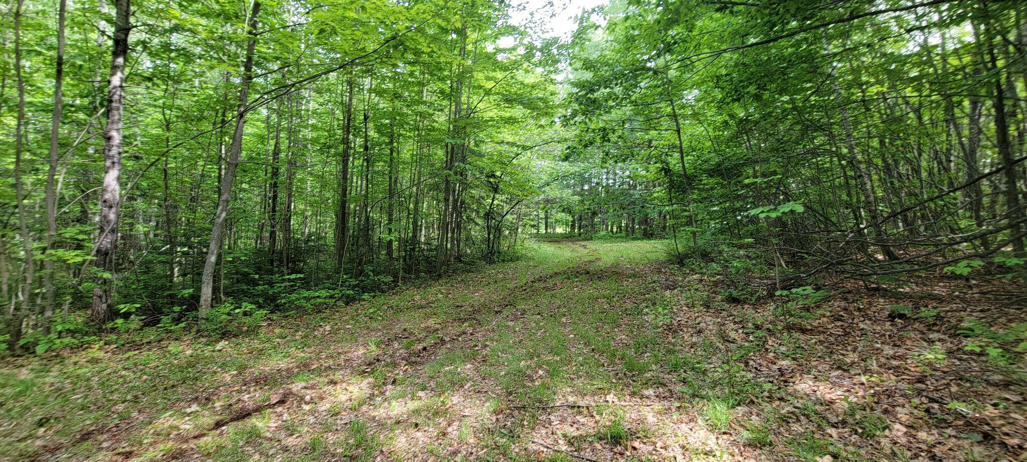 1820 Rangeley Road Phillips, ME 04966 - Photo 18 of 29 288103689_468898628330286_12673277975399