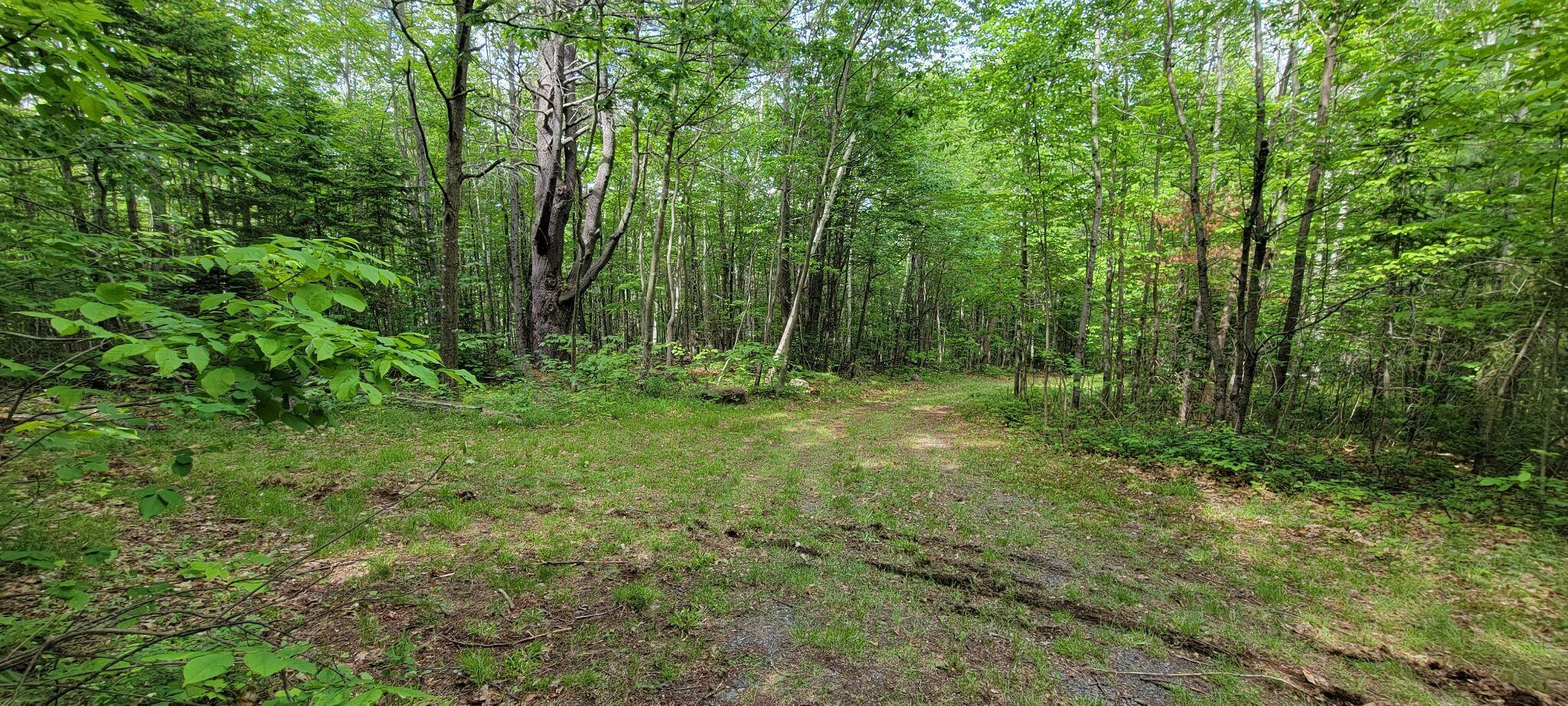 1820 Rangeley Road Phillips, ME 04966 - Photo 19 of 29 287764452_496690945544798_14068509038686