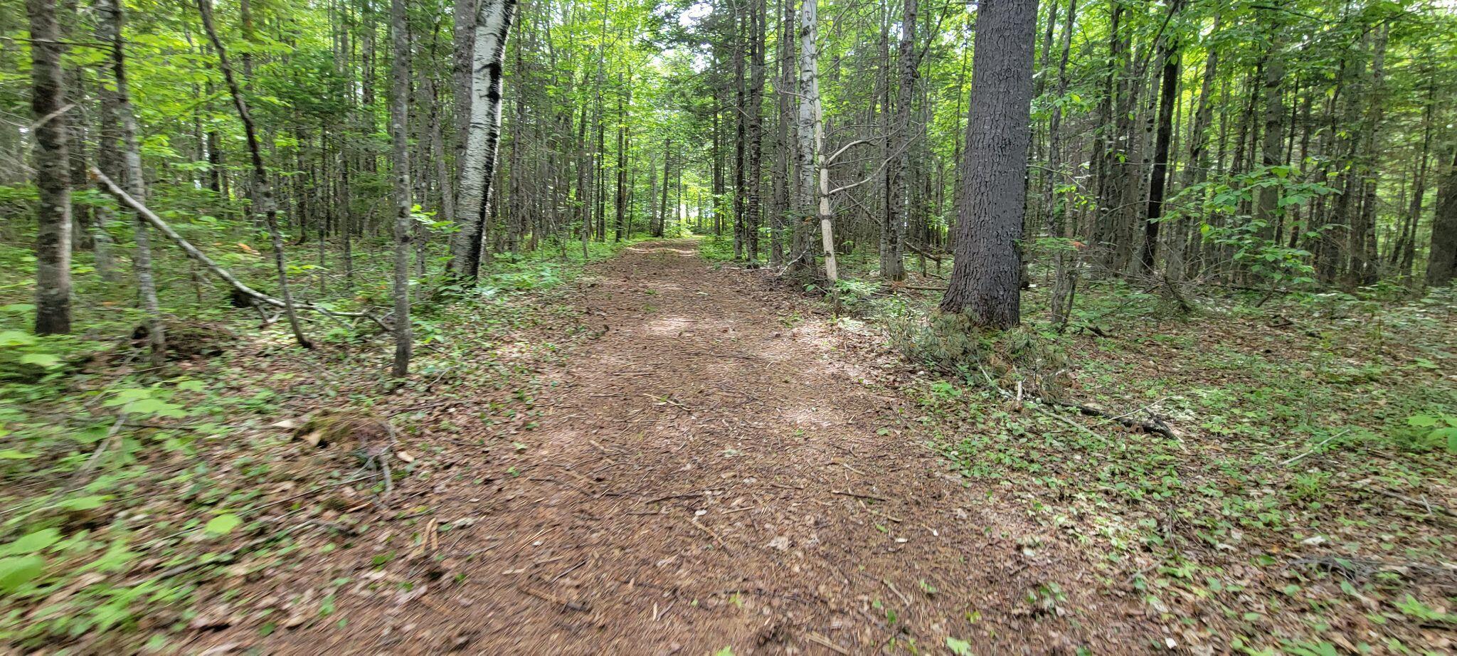 1820 Rangeley Road Phillips, ME 04966 - Photo 20 of 29 287090807_877422366507803_35668446284815