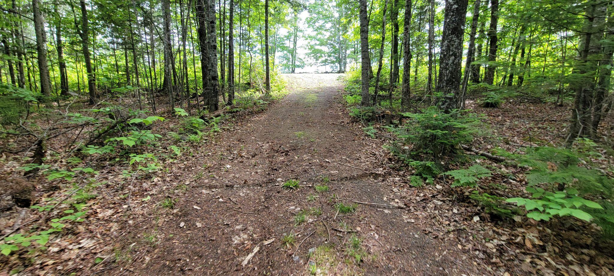 1820 Rangeley Road Phillips, ME 04966 - Photo 21 of 29 287954958_582319200178290_48634830857356