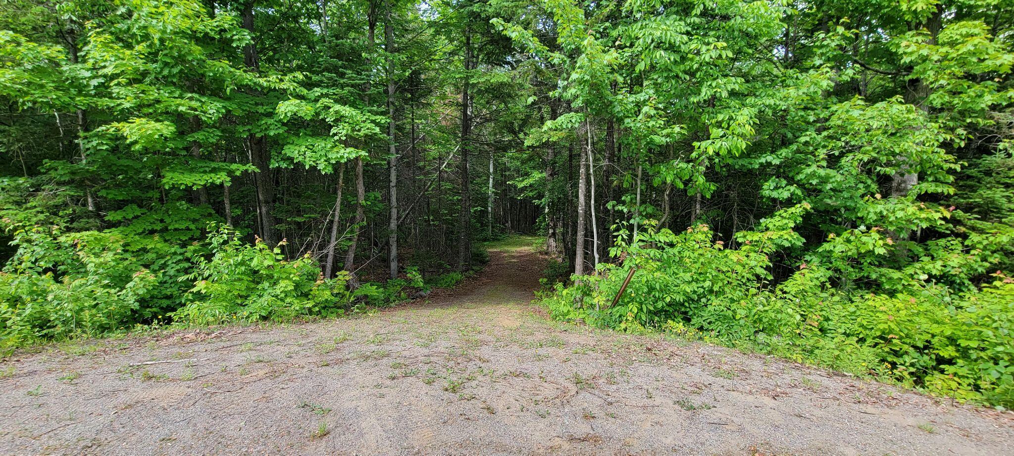 1820 Rangeley Road Phillips, ME 04966 - Photo 22 of 29 287703722_1143722849537382_4347125336955