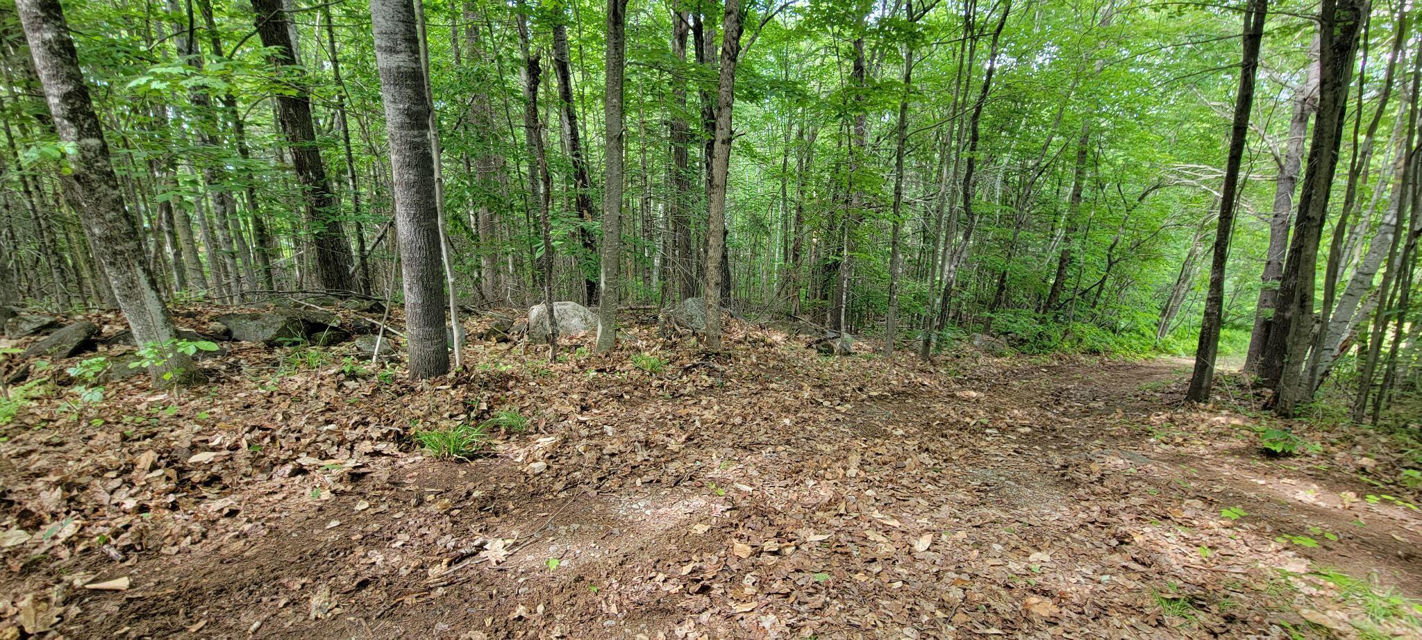 1820 Rangeley Road Phillips, ME 04966 - Photo 24 of 29 287080209_4843542385752090_6111833188686