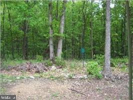 47 Fishing Rod Road Liverpool, PA 17045 - Photo 9 of 9 Gallery Image 9