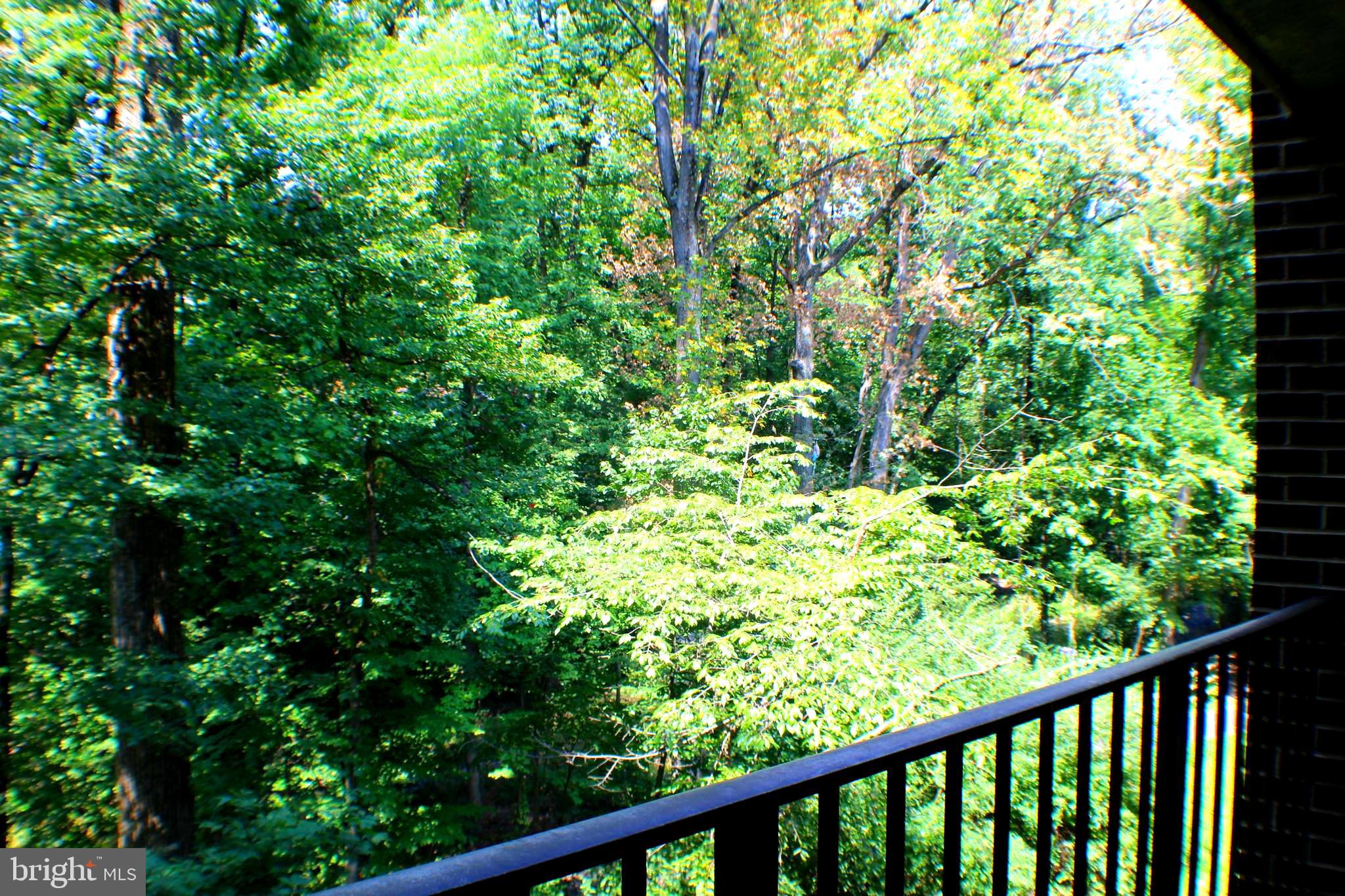 1538 Northgate Square, Unit 11B Reston, VA 20190 - Photo 12 of 43 Gallery Image 12